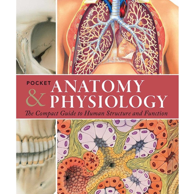 9781438009056 Pocket Anatomy & Physiology