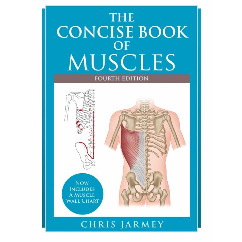 9781623173388 Concise Book Of Muscles 4/E